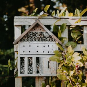 Hôtels pour insectes