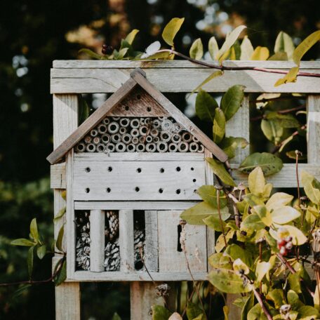 Hôtels pour insectes