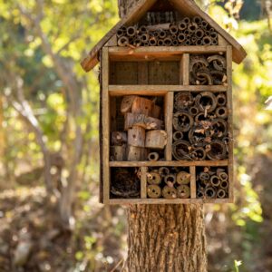 Insektenhotels