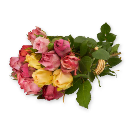 Rose de plein air 'mix' 25cm env. bouquet de 10