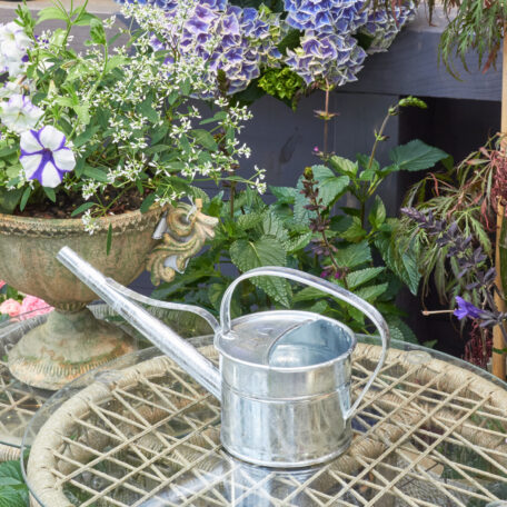 Arrosoir 0.8l - tube 20cm zinc