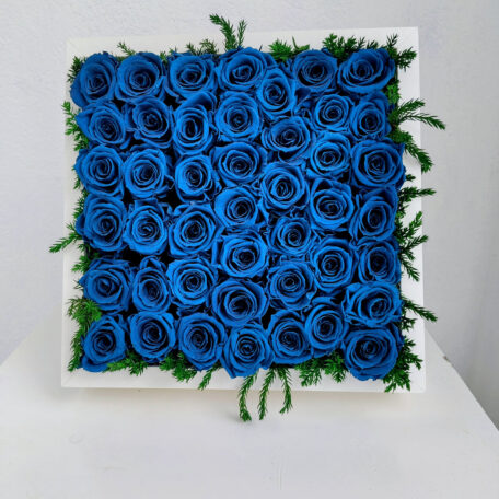 Cadre de roses bleues