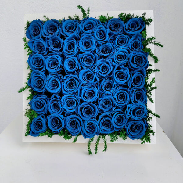 Cadre de roses bleues