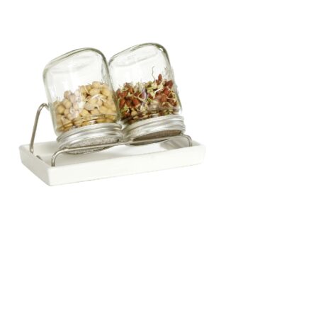 2er Set Sprossenglas 750ml - Schale weiss