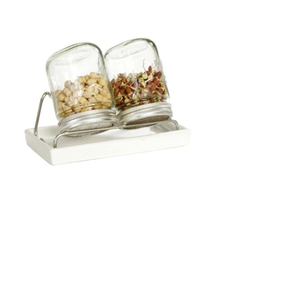 2er Set Sprossenglas 750ml - Schale weiss