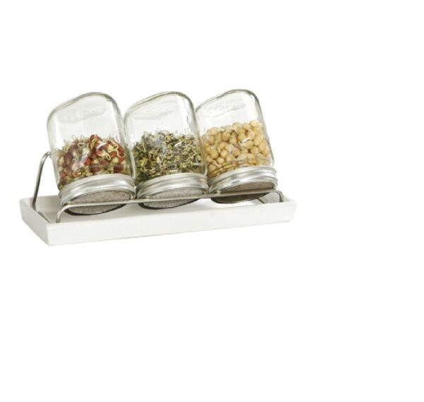 3er Set Sprossenglas 750ml - Schale weiss