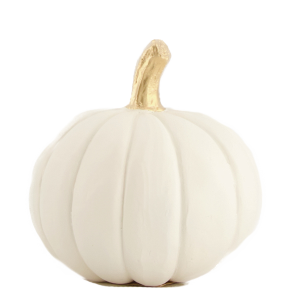 Courge blanche 2 pièces petite