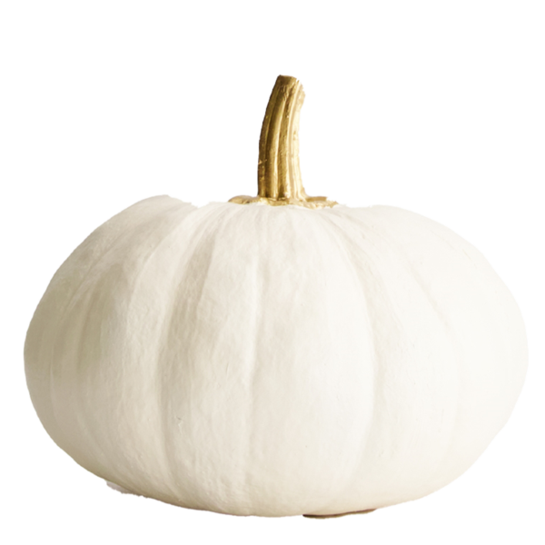 Courge blanche 2 pièces grande