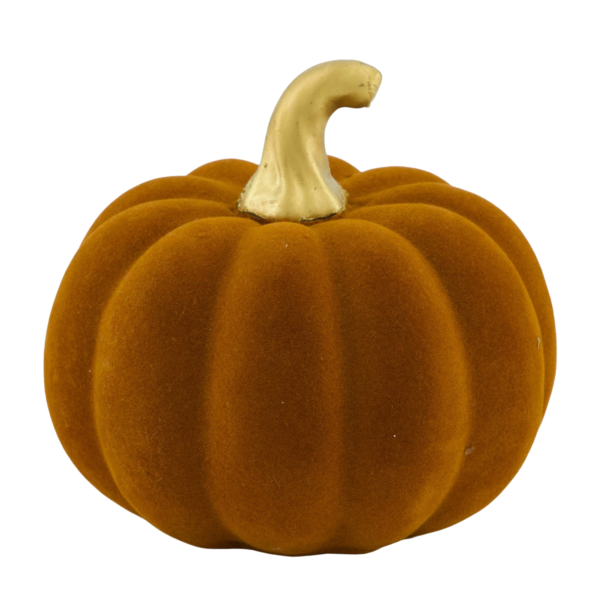Courge Ponki 2 pièces