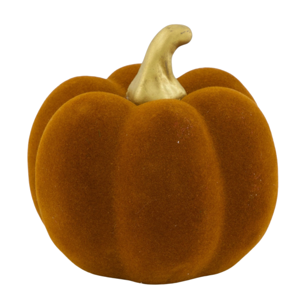 Courge Ponki 3 pièces