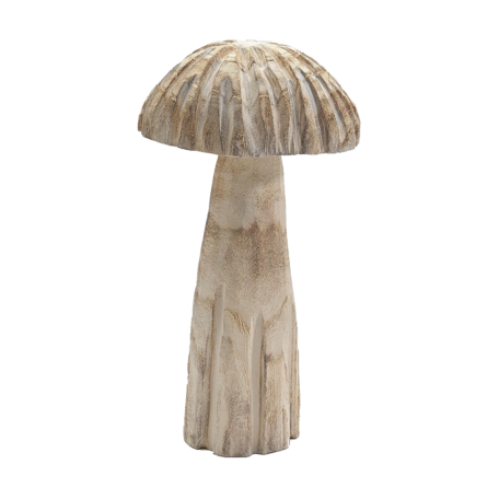 Champignon Paulownia bombé grand