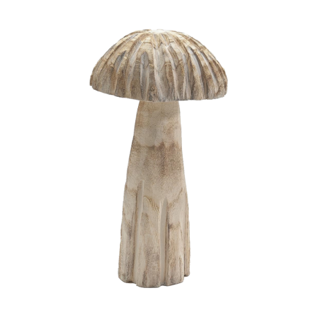 Champignon Paulownia bombé petit