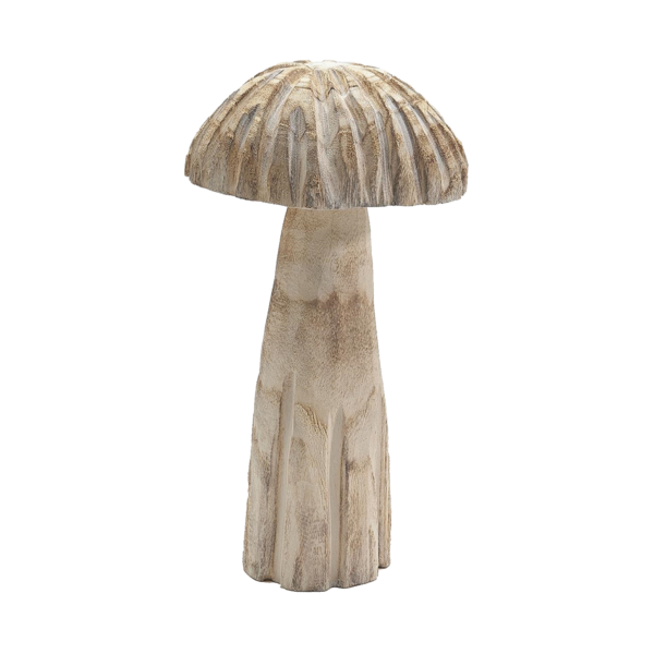 Champignon Paulownia bombé petit