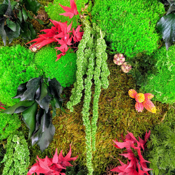 Wunderschöne Naturlandschaft - Bild 2