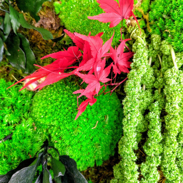 Wunderschöne Naturlandschaft - Bild 3