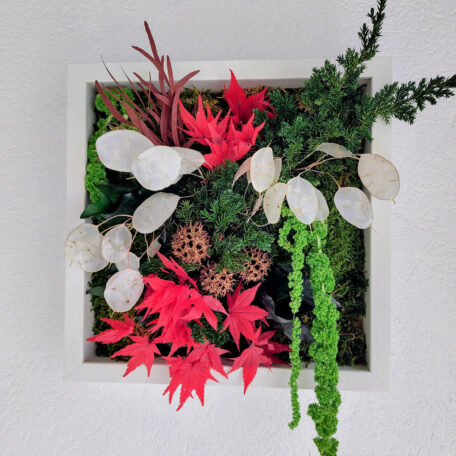 Schöne kleine Naturlandschaft