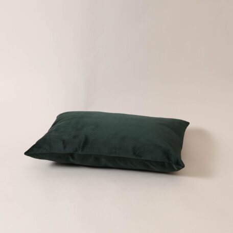 Coussin décoratif en velours vert foncé, 43 x 60 cm