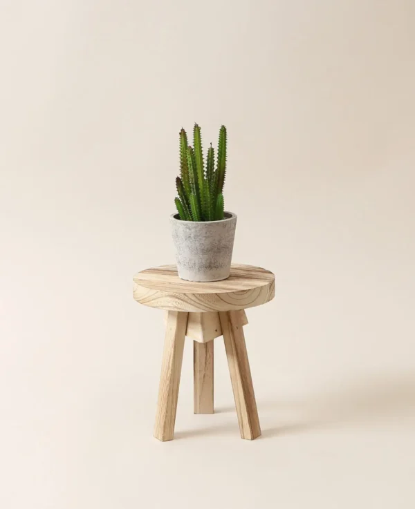 Runder Holzhocker, 21cm – Image 4