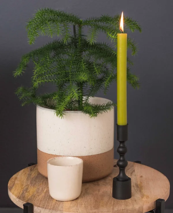 Tonio Becher off white, h8,5xd8cm - Bild 4
