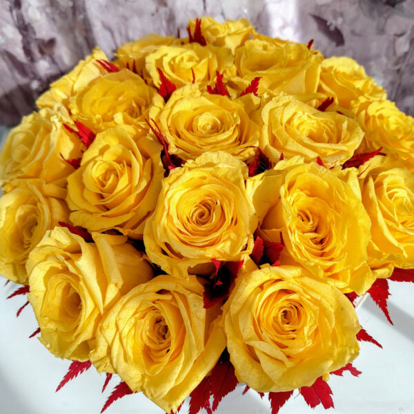 Arrangement - Die Sonne - Bild 3