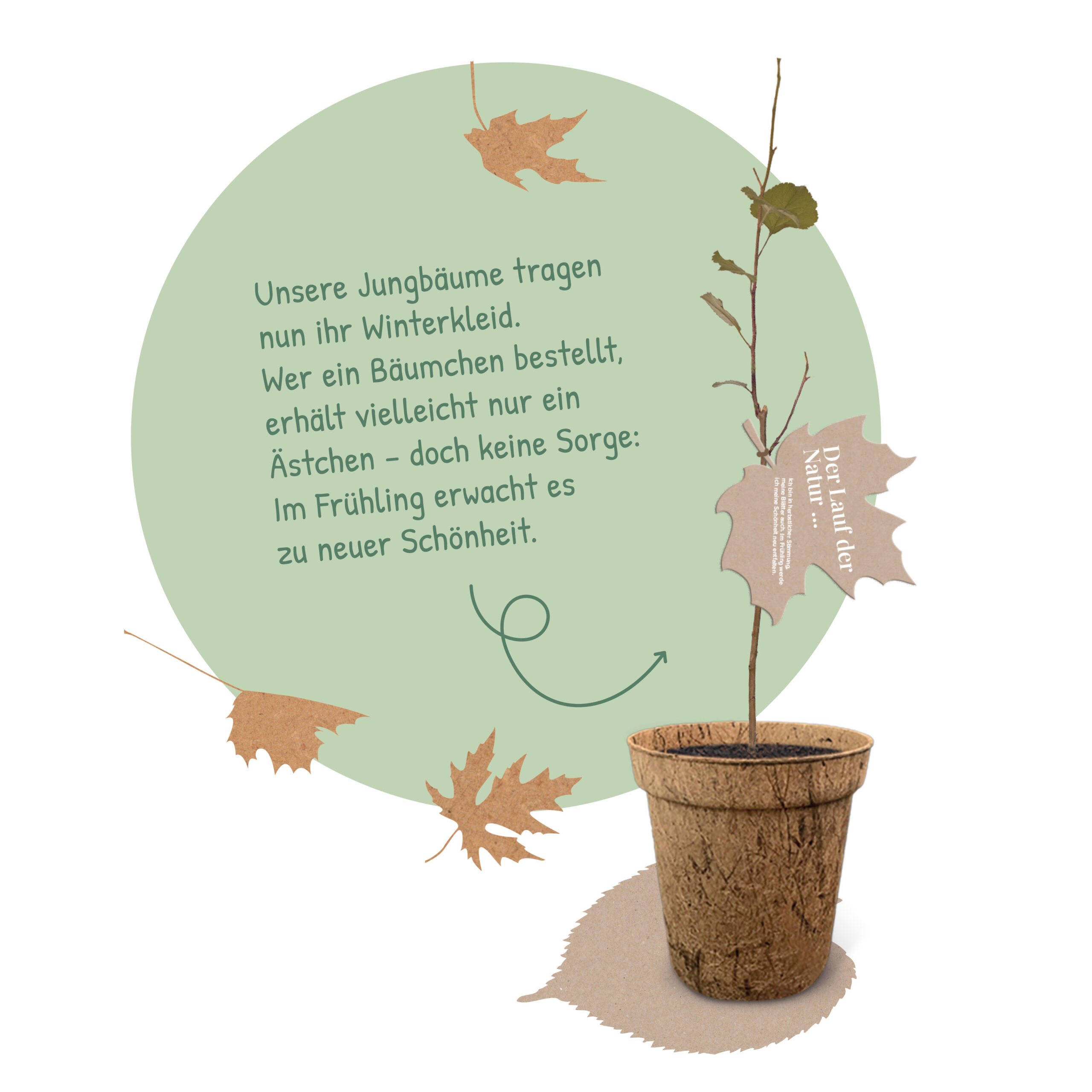 Eberesche 01.04.-10.04. & 04.10.-03.10. – Image 3