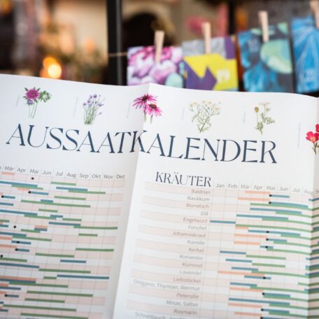 Calendrier de l'Avent avec 24x graines bio, une mer de fleurs pour le balcon et le jardin