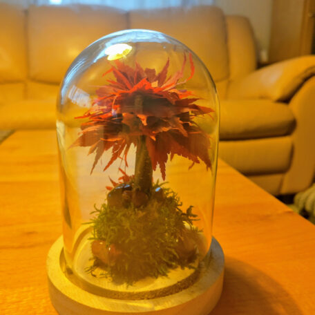 Stabilisierter Bonsai unter Glasglocke