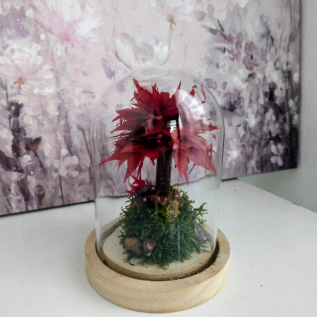 Stabilisierter Bonsai unter Glasglocke