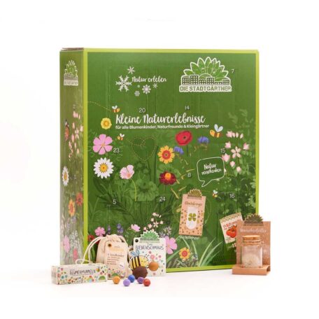 Calendrier de l'avent Petites expériences dans la nature