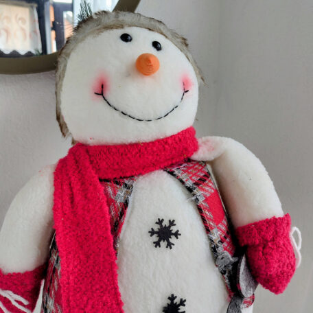 Bonhomme de neige avec bonnet