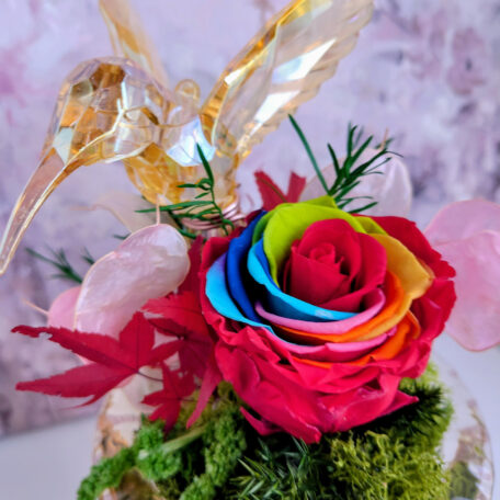 Arrangement Regenbogen