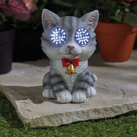Solar Bright Eyes Chat