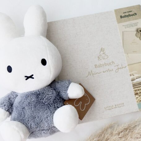 Livre de souvenirs de bébé 