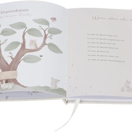 Livre de souvenirs de bébé 