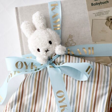 Livre de souvenirs de bébé 