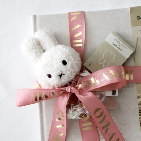 Livre de souvenirs de bébé 