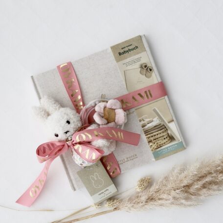 Livre de souvenirs de bébé 