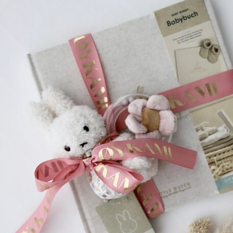 Livre de souvenirs de bébé 