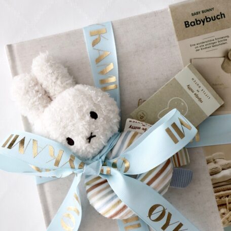 Livre de souvenirs de bébé 