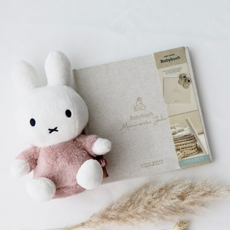 Livre de souvenirs de bébé 