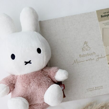 Livre de souvenirs de bébé 