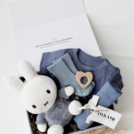 Boîte cadeau bébé 1 - Miffy bleu