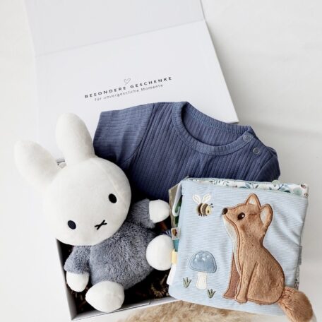 Boîte cadeau bébé 2 - Miffy bleu