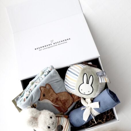 Boîte cadeau bébé 3 - Miffy bleu