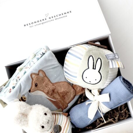 Boîte cadeau bébé 3 - Miffy bleu