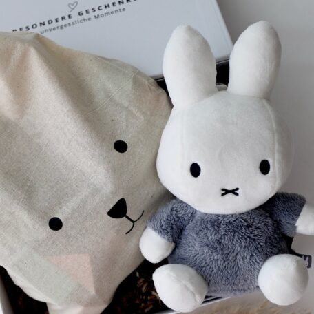 Boîte cadeau bébé 5 - Miffy bleu