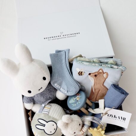 Boîte cadeau bébé 6 - Miffy bleu