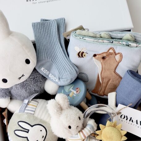 Boîte cadeau bébé 6 - Miffy bleu