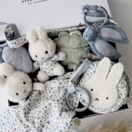 Boîte cadeau pour bébé 