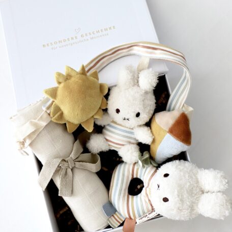 Box Miffy Unterwegs Stipes Beige